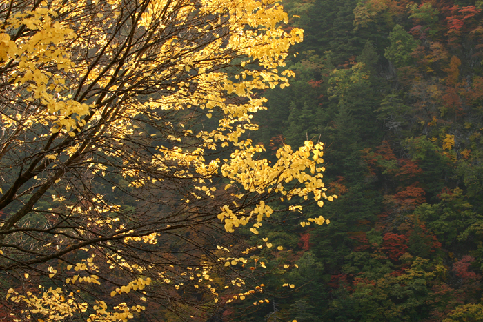 c0089005_2240370.jpg