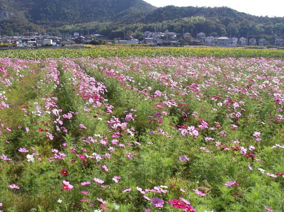 07.11.03(土) タカミクラ_a0062810_1341794.jpg