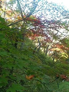 c0117610_2211883.jpg