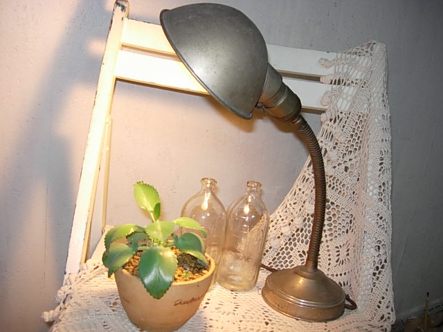 c0085916_1747165.jpg