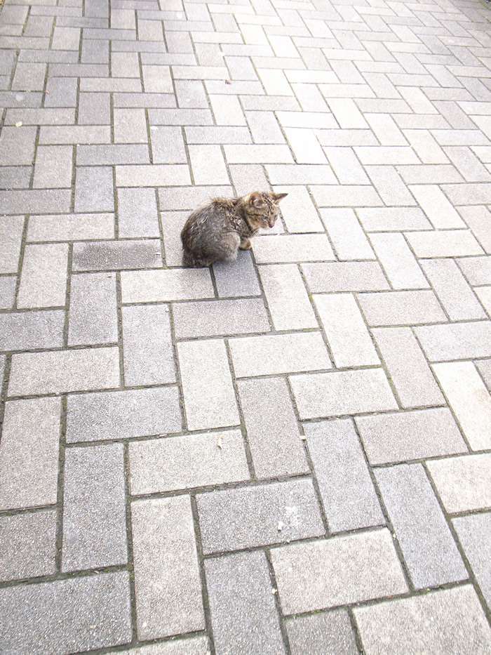 箱根彫刻の森_f0123552_4531591.jpg