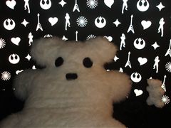 デザインタイド のはずなんだけど、、、。_d0082655_21302988.jpg