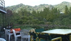d0083265_22154157.jpg