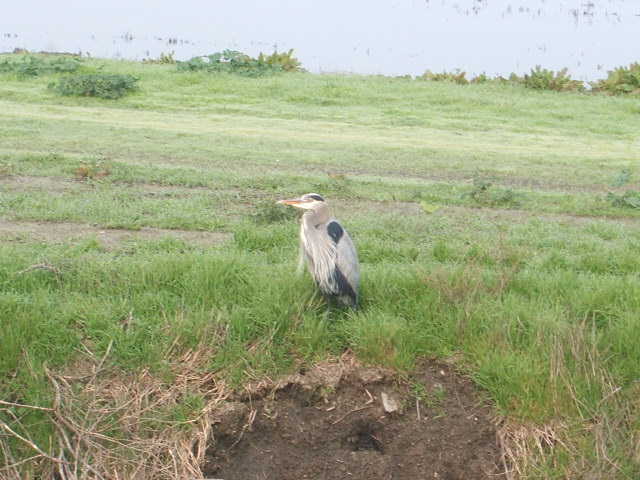 c0115366_5455721.jpg