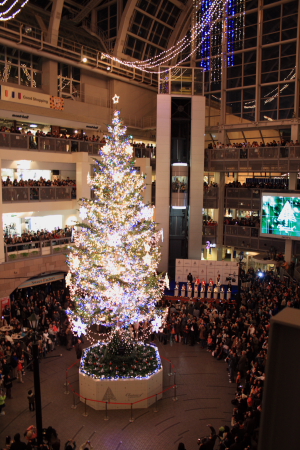 サッポロファクトリーのクリスマスツリー 札幌日和下駄 サッポロファクトリーのクリスマスツリー 札幌日和下駄