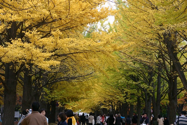 b0003280_2265110.jpg