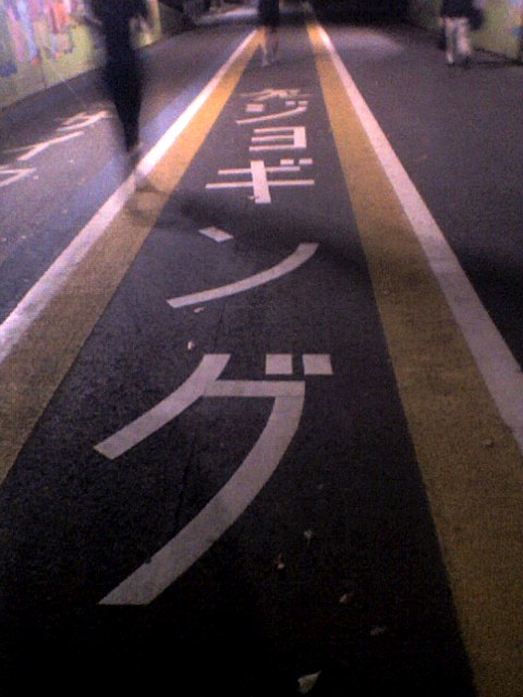 走ってみること・・・　IN　駒沢公園_f0016783_2113552.jpg