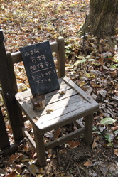 インディアンサマー。_d0028589_23522610.jpg