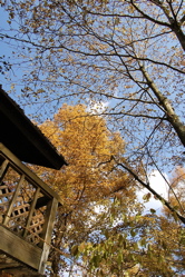 インディアンサマー。_d0028589_23525640.jpg