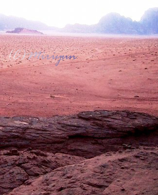 岩砂漠 礫砂漠 砂砂漠 そのはざま 写真でイスラーム