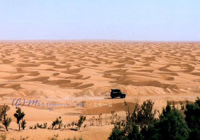 岩砂漠 礫砂漠 砂砂漠 そのはざま 写真でイスラーム