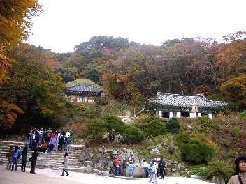 c0072993_12205323.jpg