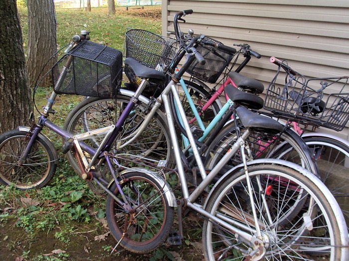 某団地の駐輪場の自転車_f0114393_21154960.jpg