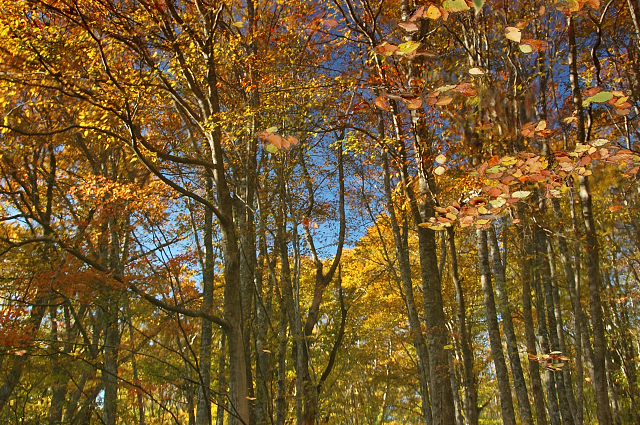 c0134295_124033.jpg