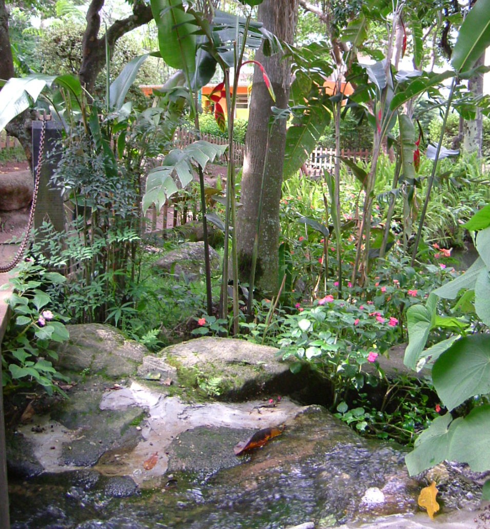 e0118096_5102466.jpg