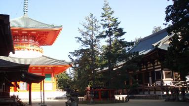 高野山～金剛峰寺・壇上伽藍(ﾀﾞﾝｼﾞｮｳｶﾞﾗﾝ) （和歌山県）_e0106098_11565590.jpg