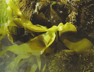 f0082598_12185138.jpg