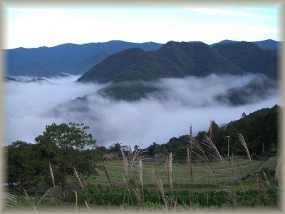 c0125501_1014060.jpg