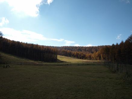 f0109601_23484255.jpg