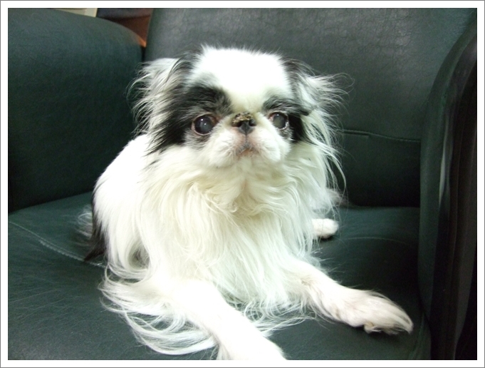 d0079302_2465220.jpg