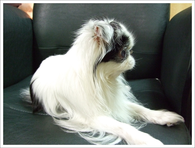 d0079302_248966.jpg