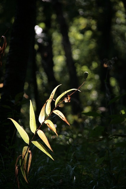 e0031502_16262555.jpg