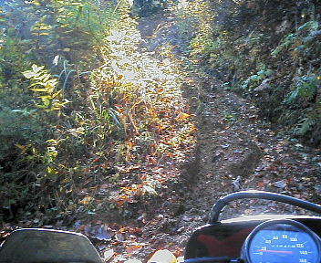 e0104702_18144734.jpg