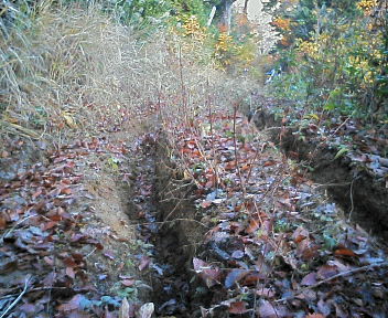 e0104702_1815790.jpg
