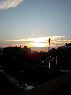 d0093903_805651.jpg
