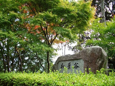 d0018704_21323820.jpg