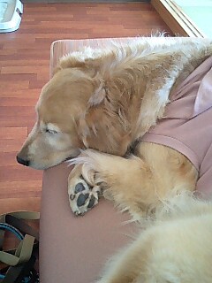 e0072606_1002133.jpg