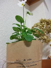 c0138908_1324557.jpg