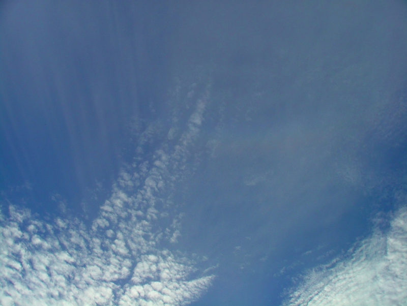 a0030713_2142686.jpg