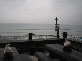 e0080117_23391070.gif