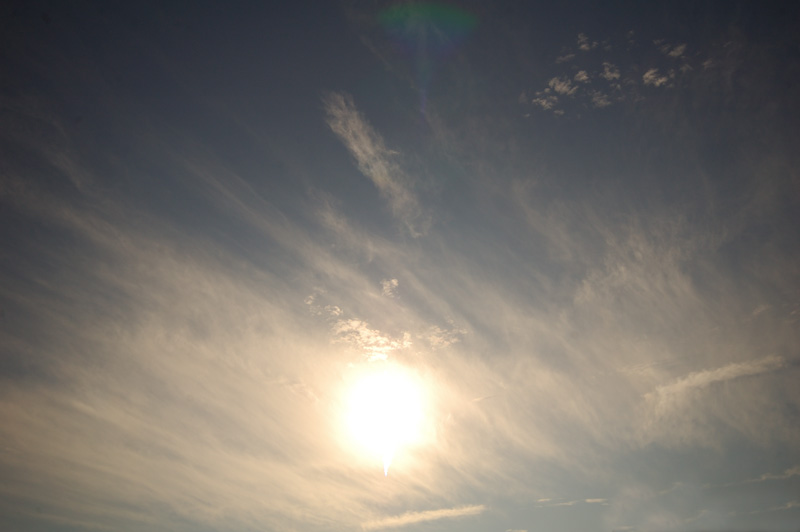 a0059621_22471779.jpg