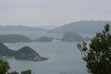 d0042827_11553167.jpg