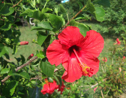 f0038727_1154791.jpg