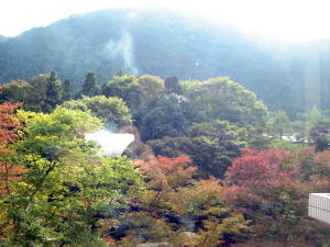 b0042230_0361835.jpg