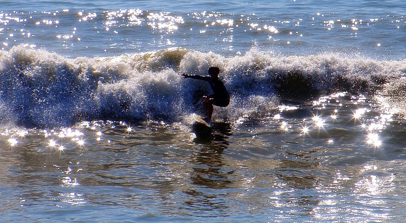 Surfer Ⅱ_e0067333_3491198.jpg