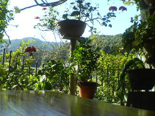 e0074833_2204699.jpg