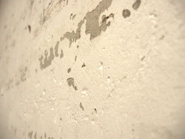 a0095337_17454524.jpg