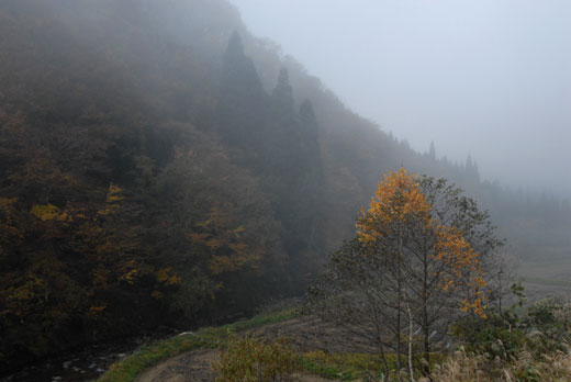 c0093046_7174233.jpg