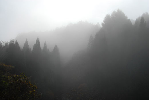 c0093046_7175744.jpg