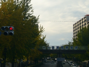 e0100046_17153631.jpg