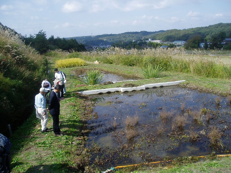 増田ふるさと公園_c0107149_15362353.jpg