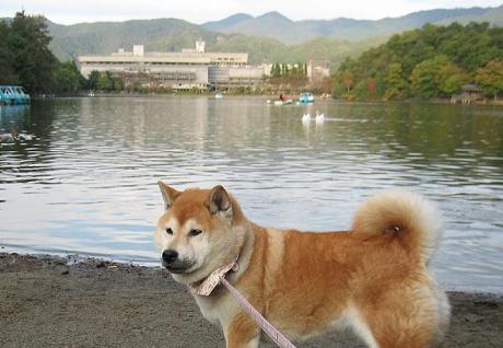 サイとの休日_c0049950_2172575.jpg
