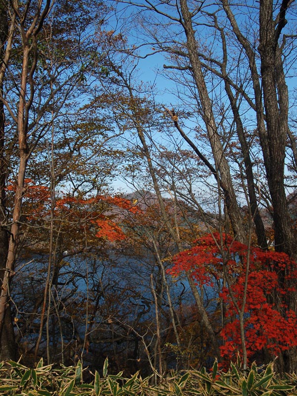 c0045352_1784371.jpg