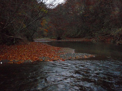 c0097652_22184612.jpg