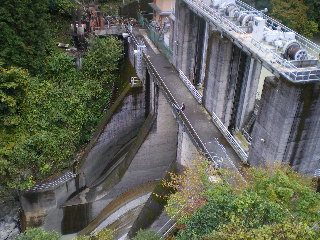 c0118352_859572.jpg