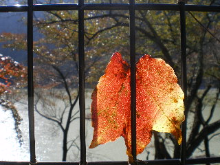 c0118352_92879.jpg